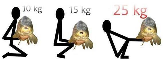 tehnici de pescuit la crap - 12.jpg